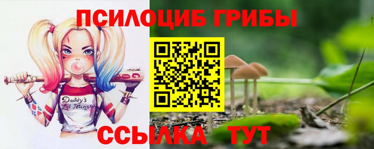 Киров  Псилоцибиновые грибы Magic Shrooms  Вход с VPN 